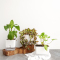 Easy Plant V2 Self Watering Pot Block Series