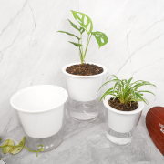 Easy Plant Self Watering Pot Flat