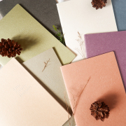 Colors of Autumn Ruled Notebook B5