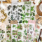 Greenery Institute Plants Diary Deco Stickers
